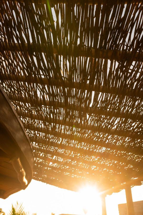 Eco Loft Maymuna: Seu Loft Ecologico Pertinho Da Praia Villa Pôrto de Pedras Eksteriør bilde